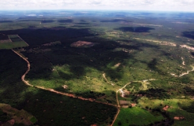 Fazenda para venda em Ninheira